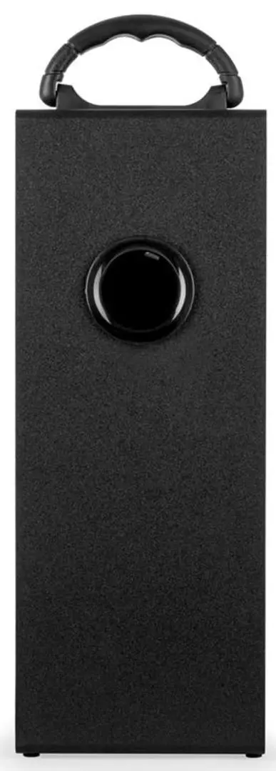 Беспроводная портативная колонка Auna Beachboy XXL (Black) - 4