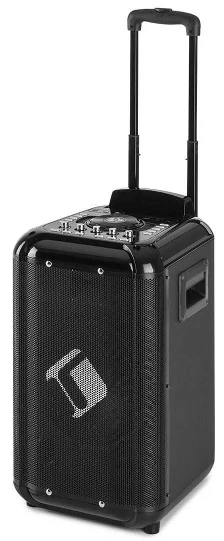 Sistem acustic portabil Auna Moving 100 (Black)