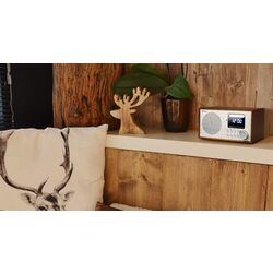 Портативный радиоприемник Auna Silver Star Mini (Oak/Silver) Thumb