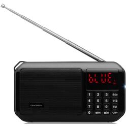 Портативный радиоприемник GoGEN FMP 125 BTB (Black) Thumb