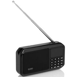 Портативный радиоприемник GoGEN FMP 125 BTB (Black) Thumb