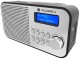 Radio GoGEN DAB 300 N (Silver/Gray)