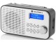 Radio GoGEN DAB 300 N (Silver/Gray)