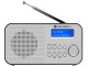 Radio GoGEN DAB 300 N (Silver/Gray)