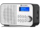 Radio GoGEN DAB 300 N (Silver/Gray)