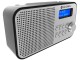 Radio GoGEN DAB 300 N (Silver/Gray)