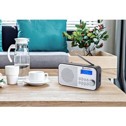 Радиоприемник GoGEN DAB 300 N (Silver/Gray) Thumb