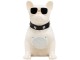 Sistem acustic portabil SAL Dog (White)