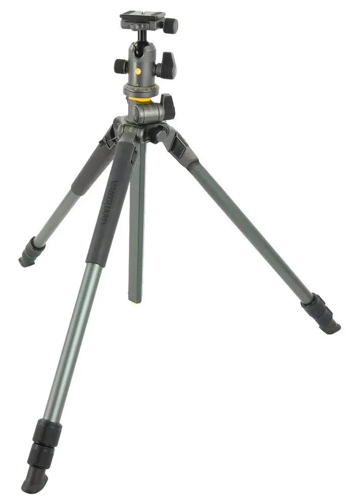 Trieped Vanguard Alta Pro2+ 263AB100 (Grey)