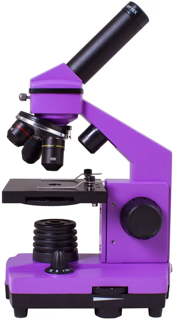 Микроскоп Levenhuk Rainbow 2L Plus (Amethyst)
