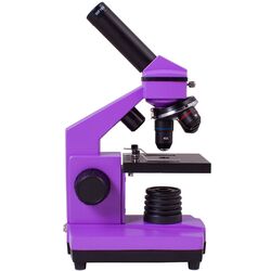 Микроскоп Levenhuk Rainbow 2L Plus (Amethyst) Thumb