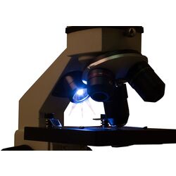 Микроскоп Levenhuk Rainbow 2L Plus (Moonstone) Thumb