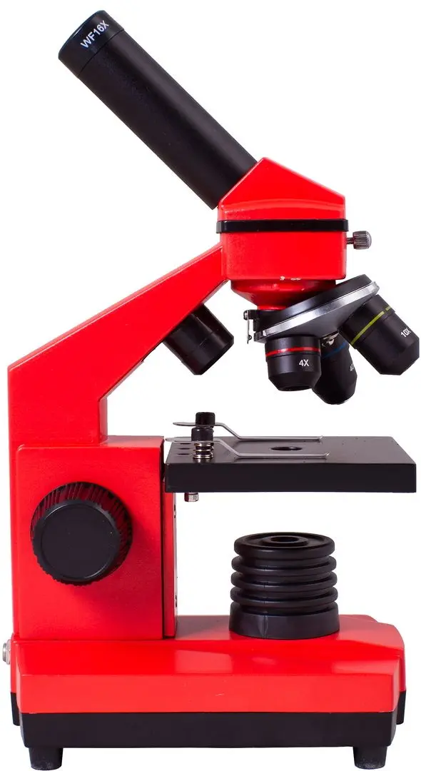 Микроскоп Levenhuk Rainbow 2L Plus (Orange)