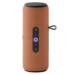 Умная колонка Yandex Station Street (Orange)