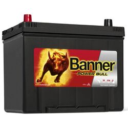 Аккумулятор Banner Power Bull P6069 Asia 60Ah 480A