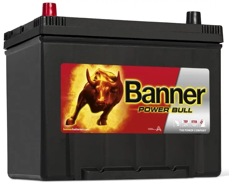 Аккумулятор Banner Power Bull P6069 Asia 60Ah 480A