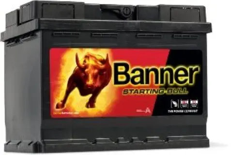 Аккумулятор Banner Power Bull P6219 62Ah 550A