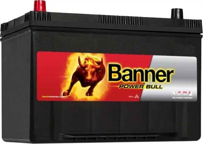 Аккумулятор Banner Power Bull P9505 Asia 95Ah 740A