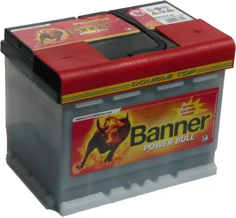 Аккумулятор Banner Power Bull Professional P10040 100Ah 820A