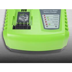 Зарядное устройство GreenWorks Rapid G40UC4 (Green) Thumb