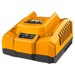 Зарядное устройство Ingco FCLI20411 20V 4Ah