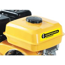 Бензиновый двигатель Gospodarul Profesionist GP-170F Thumb