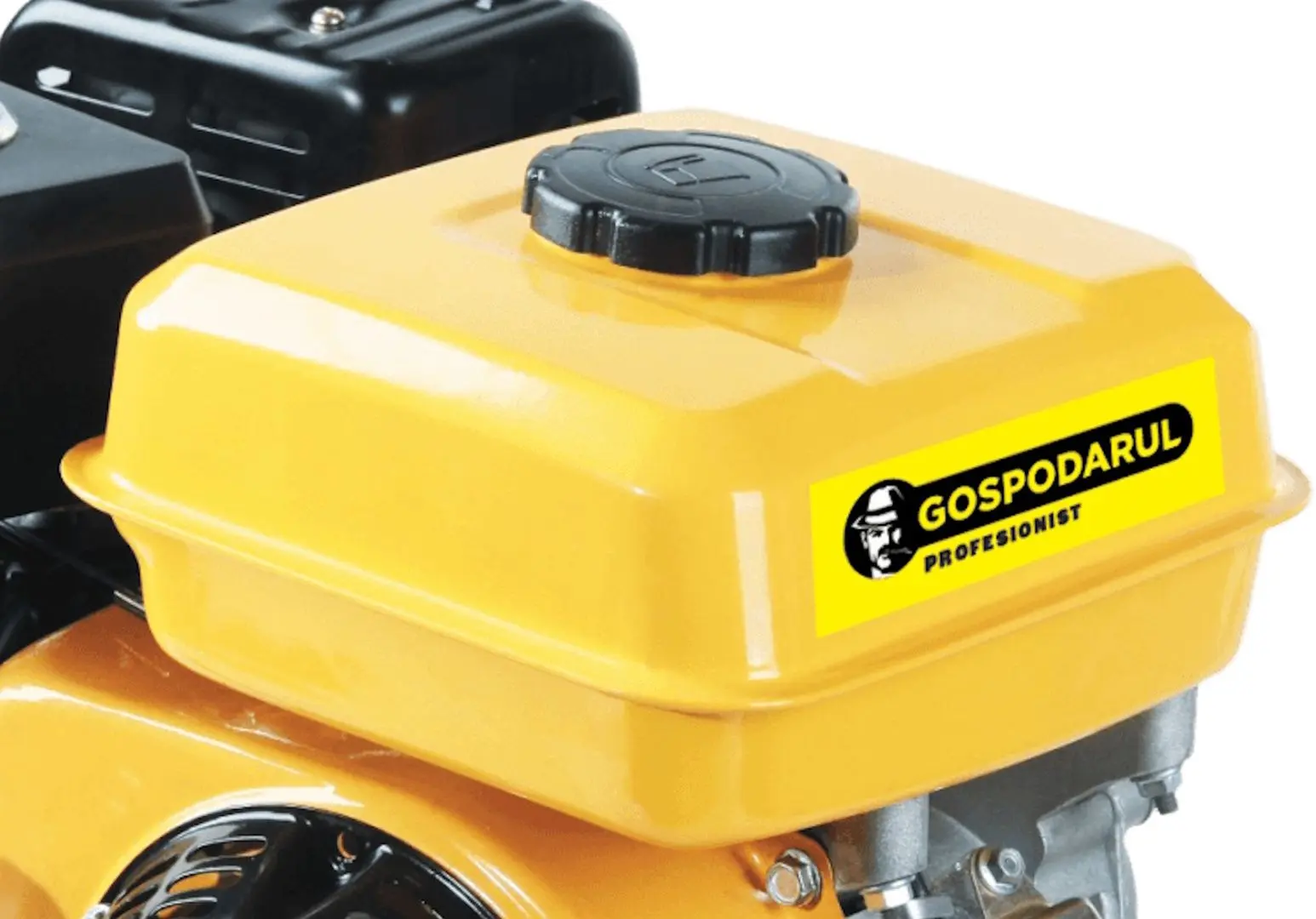 Бензиновый двигатель Gospodarul Profesionist GP-170F
