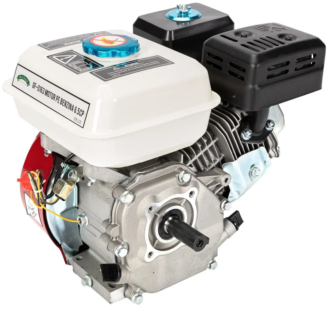 Motor Micul fermier GF-0163 - 4