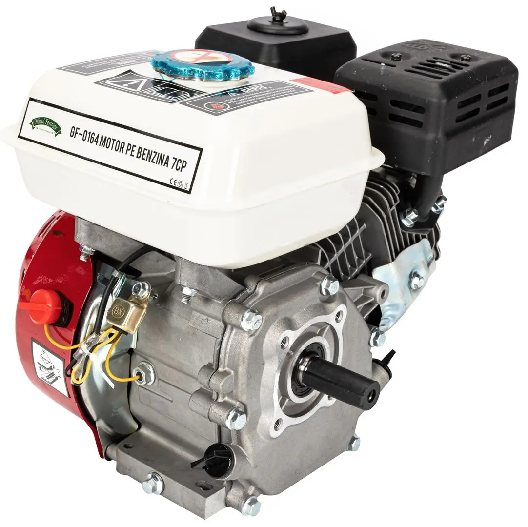 Двигатель Micul Fermier GF-0164