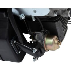 Motor cu ax vertical Micul Fermier GF-1016 Thumb