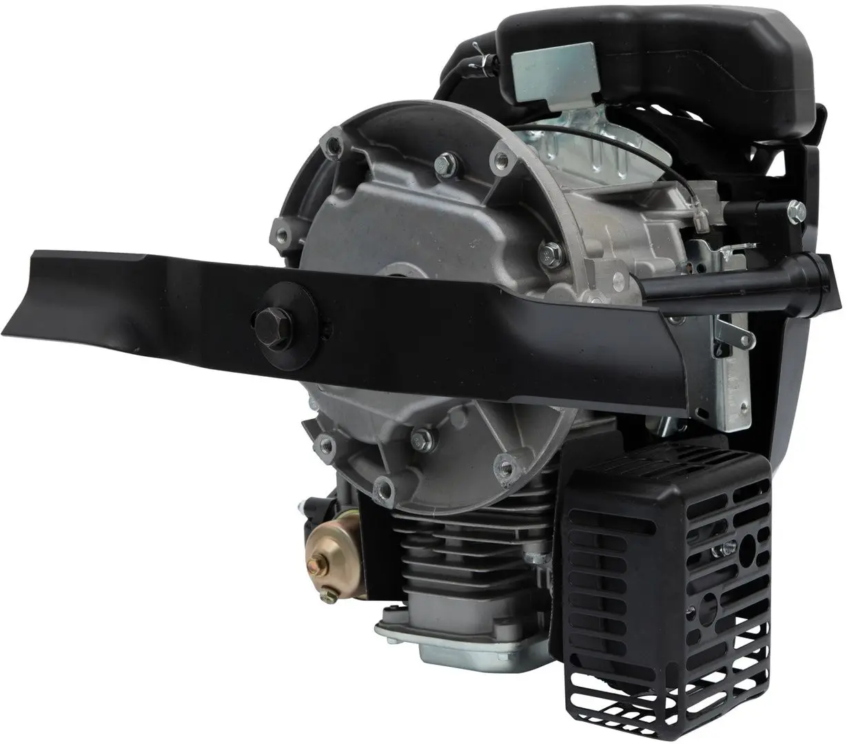 Motor cu ax vertical Micul Fermier GF-1016 - 3