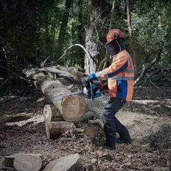 Motofierastrau Erbauer ECSP51 Thumb