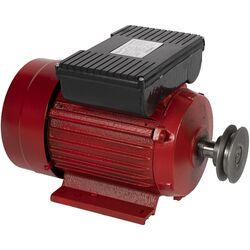 Электродвигатель Micul Fermier GF-1159