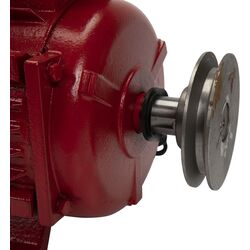 Motor electric Micul Fermier GF-1160 Thumb