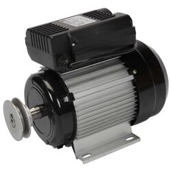 Электродвигатель Micul Fermier GF-1542