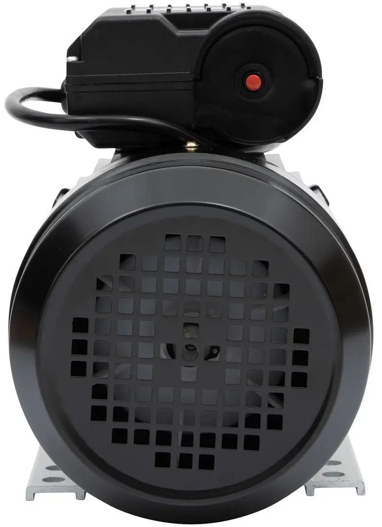 Электродвигатель Micul Fermier GF-1543