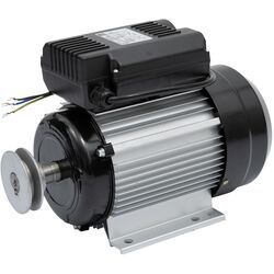 Электродвигатель Micul Fermier GF-1543