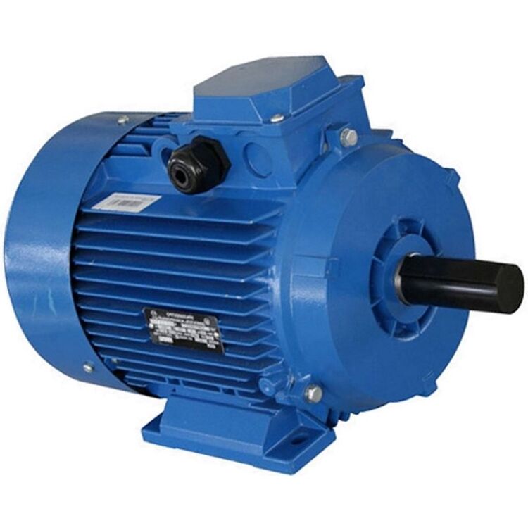 Motor electric АИР 112 МВ8 T