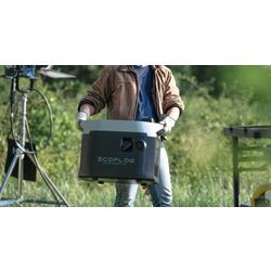 Инверторный бензиновый генератор EcoFlow Smart Generator R80-i (Black) Thumb