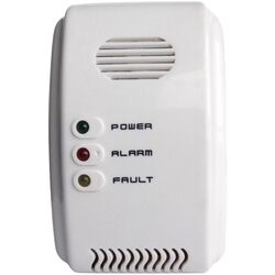 Детектор газа Rictron RCG411V (White)