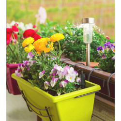 Датчик влажности почвы Sonoff MS01 (Black) Thumb