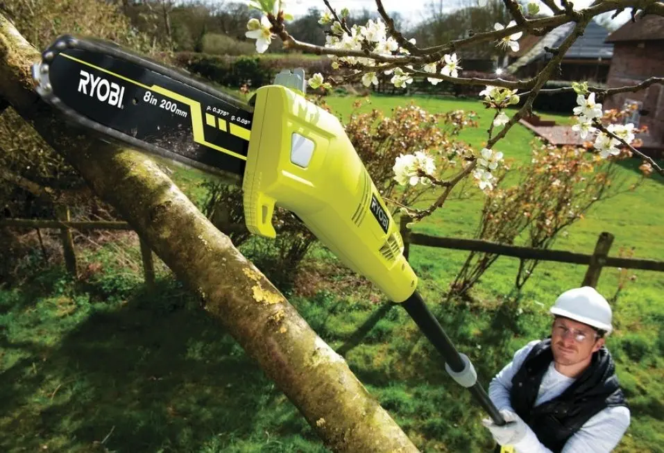 Taietor de crengi Ryobi RPP750S (5133002228)