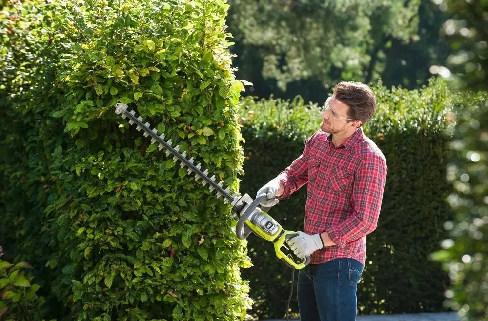 Foarfece de taiat gard viu Ryobi RHT8165RL (5133003649)