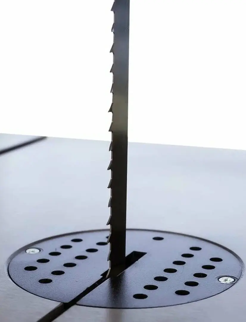 Fierastrau cu banda Metabo BAS 318 Precision WNB