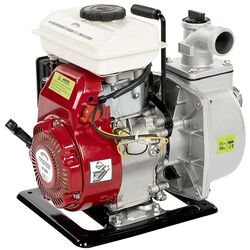 Мотопомпа Micul Fermier GF-2060