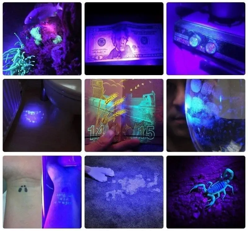 Светодиодный УФ-фонарь Procart 21LANT (Black)