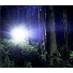 Налобный фонарь SuperFire X30 (Black) Thumb