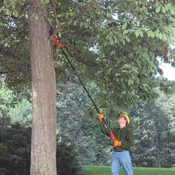 Fierastrau telescopic cu acumulator Black&Decker GPC1820L20-XE (Orange/Black) Thumb