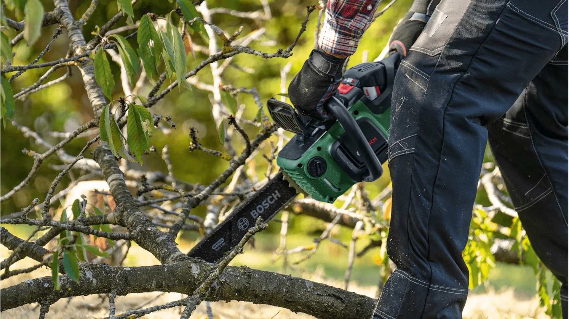 Fierastrau cu lant cu acumulator Bosch AdvancedChain 36V-35-40 (06008B8601) - 2