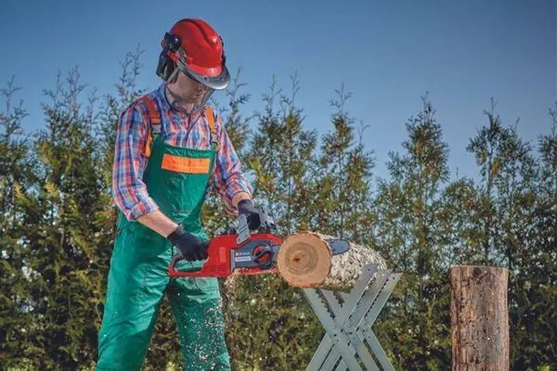 Аккумуляторная цепная пила Einhell Fortexxa 18/30 - 2